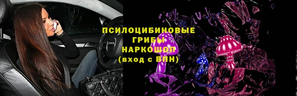 прущие грибы Балахна