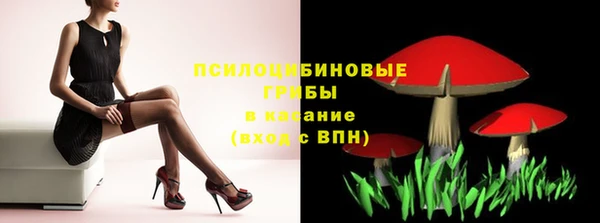 прущие грибы Балахна