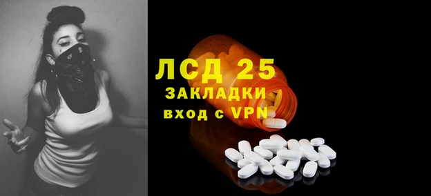 прущие грибы Балахна