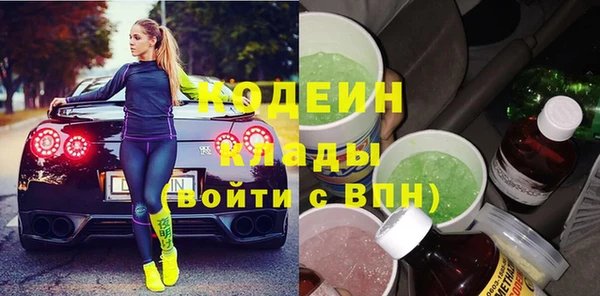 прущие грибы Балахна