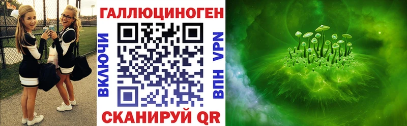 наркотики  Иркутск  Псилоцибиновые грибы Psilocybe 